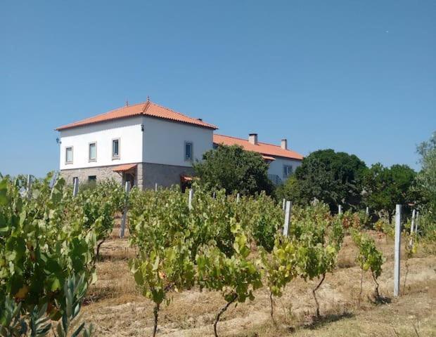 Вилла Quinta De Vodra Сейя Экстерьер фото