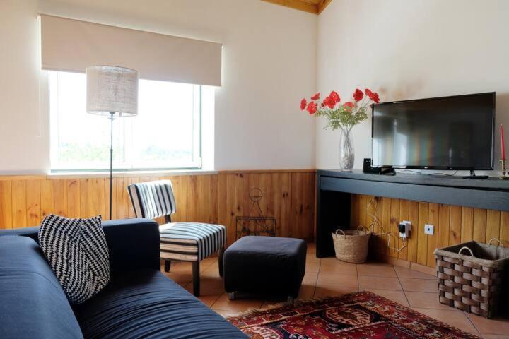Вилла Quinta De Vodra Сейя Экстерьер фото