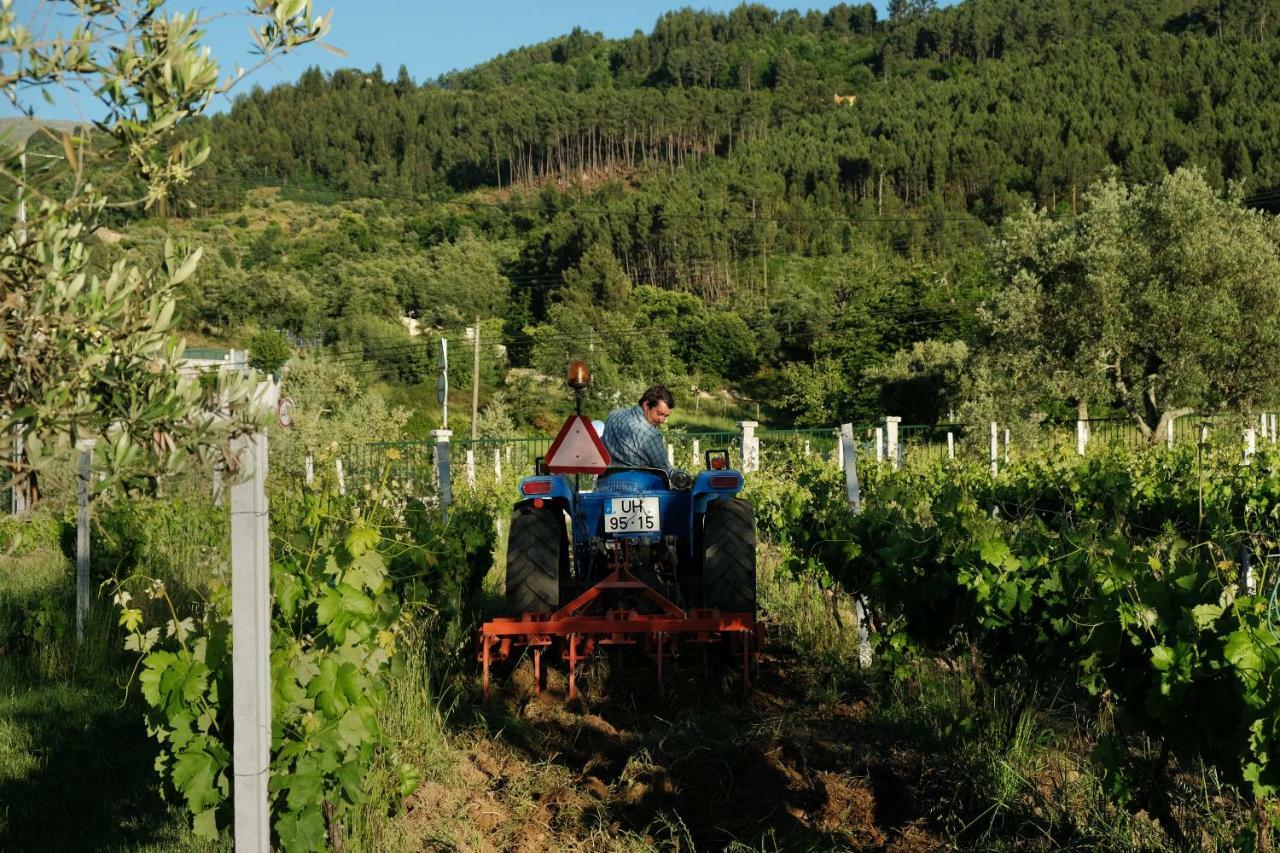 Вилла Quinta De Vodra Сейя Экстерьер фото