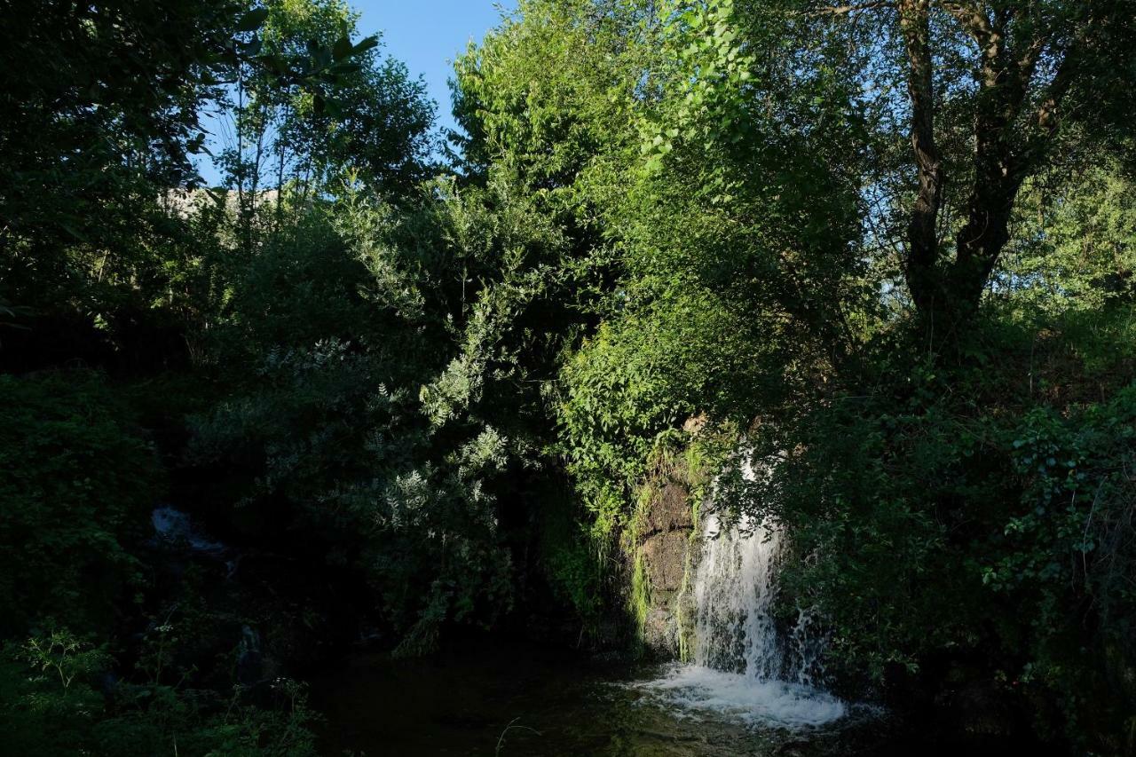 Вилла Quinta De Vodra Сейя Экстерьер фото